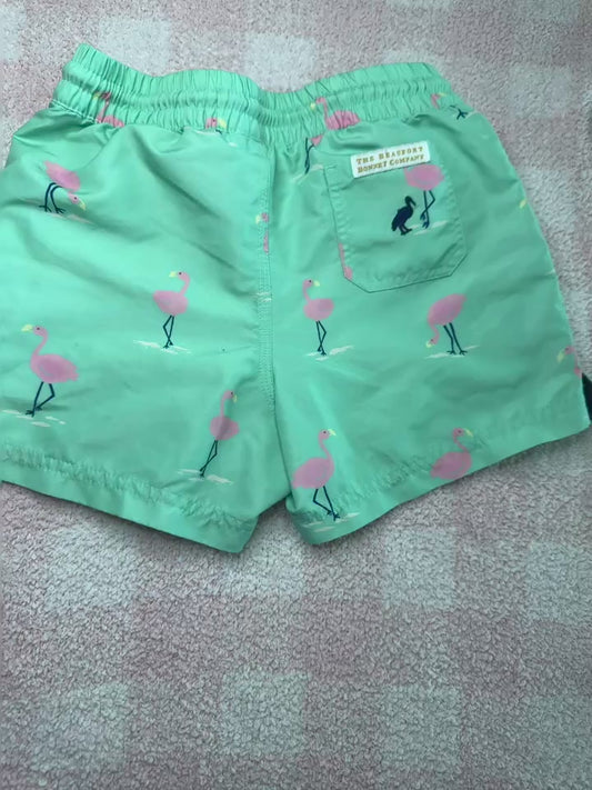 Boys TBBC Swim Trunks Flarda Flamingo Size 6